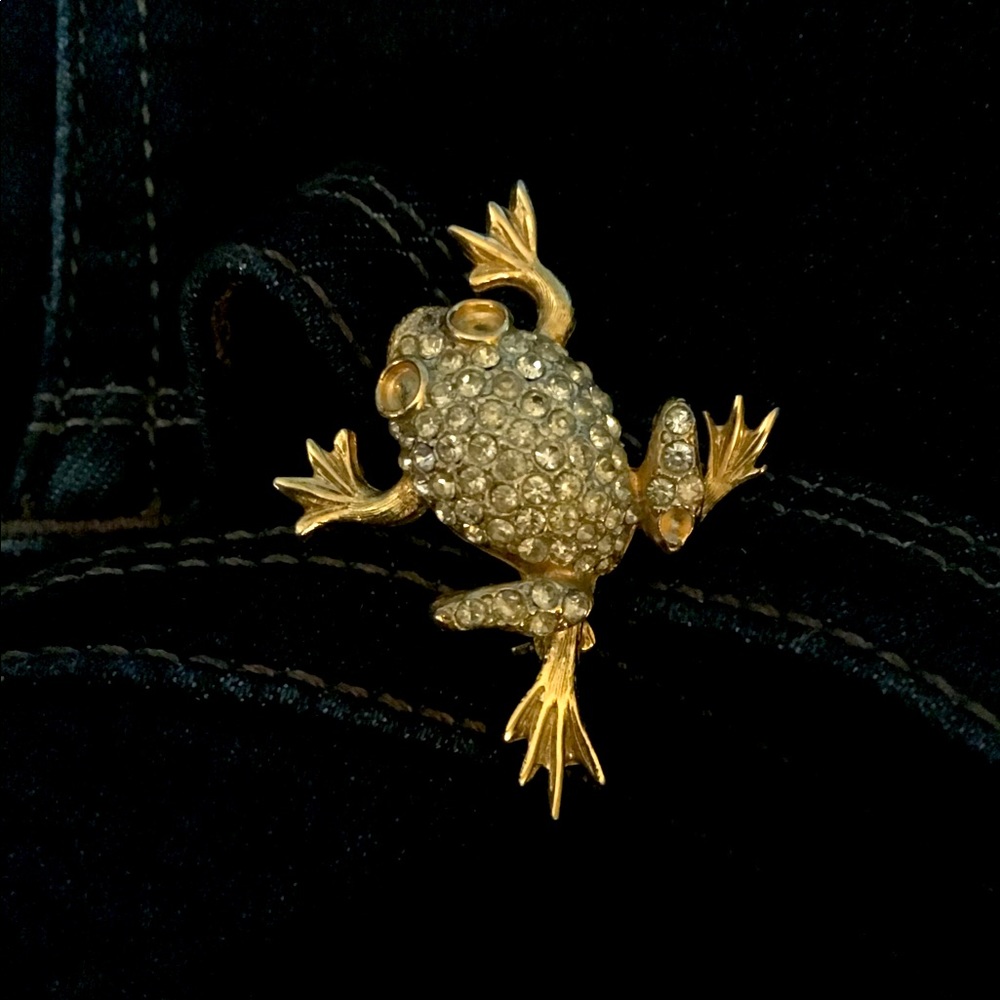 Frog Brooch/Pin